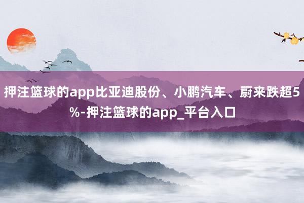 押注篮球的app比亚迪股份、小鹏汽车、蔚来跌超5%-押注篮球的app_平台入口