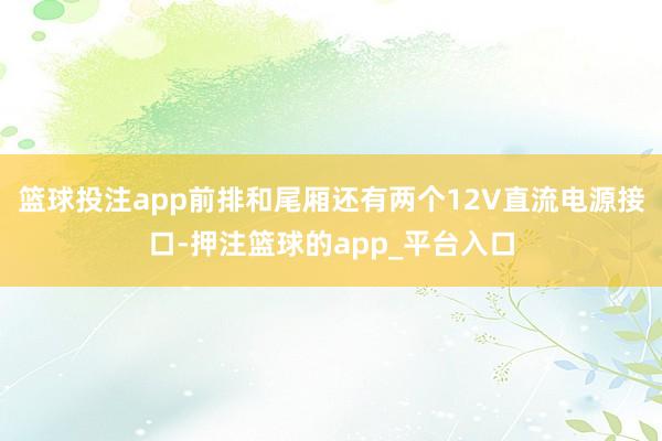 篮球投注app前排和尾厢还有两个12V直流电源接口-押注篮球的app_平台入口
