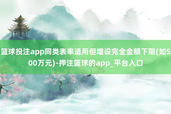 篮球投注app同类表率适用但增设完全金额下限(如500万元)-押注篮球的app_平台入口