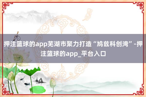 押注篮球的app芜湖市聚力打造“鸠兹科创湾”-押注篮球的app_平台入口