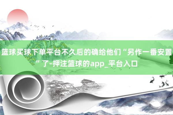 篮球买球下单平台不久后的确给他们“另作一番安置”了-押注篮球的app_平台入口