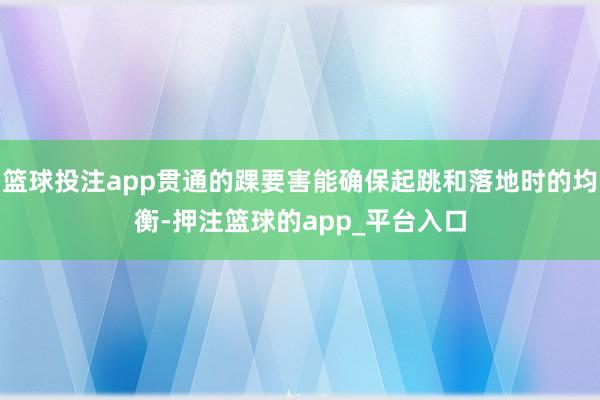 篮球投注app贯通的踝要害能确保起跳和落地时的均衡-押注篮球的app_平台入口