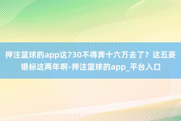 押注篮球的app这730不得奔十六万去了？这五菱银标这两年啊-押注篮球的app_平台入口