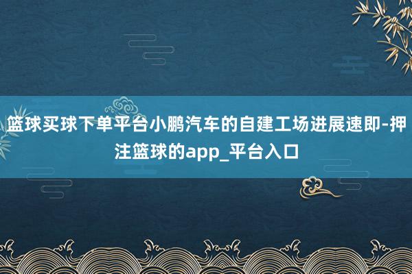 篮球买球下单平台小鹏汽车的自建工场进展速即-押注篮球的app_平台入口
