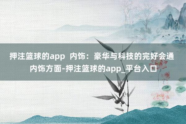 押注篮球的app  ﻿内饰：豪华与科技的完好会通 内饰方面-押注篮球的app_平台入口