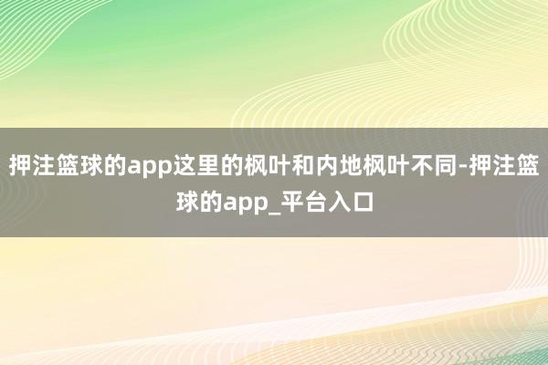 押注篮球的app这里的枫叶和内地枫叶不同-押注篮球的app_平台入口