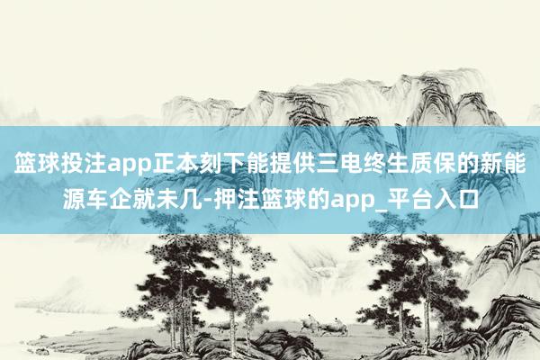 篮球投注app正本刻下能提供三电终生质保的新能源车企就未几-押注篮球的app_平台入口
