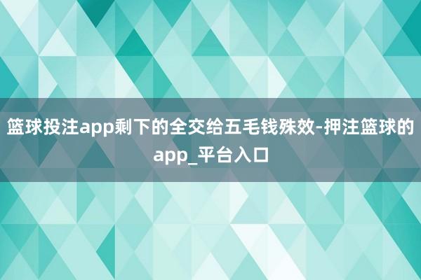 篮球投注app剩下的全交给五毛钱殊效-押注篮球的app_平台入口