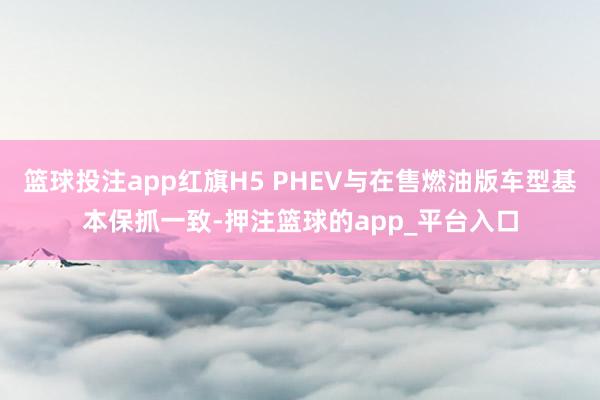 篮球投注app红旗H5 PHEV与在售燃油版车型基本保抓一致-押注篮球的app_平台入口