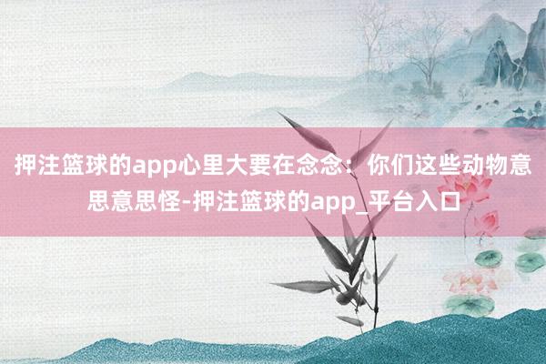 押注篮球的app心里大要在念念：你们这些动物意思意思怪-押注篮球的app_平台入口