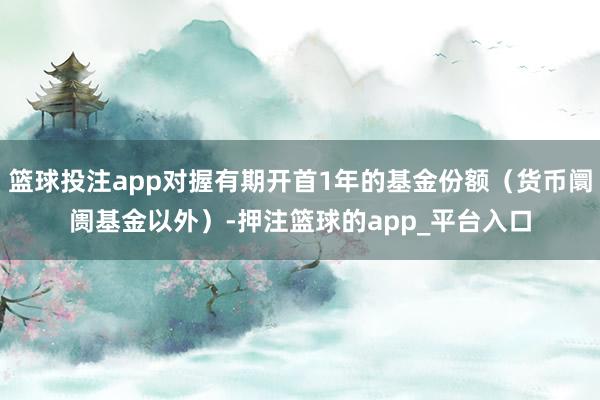 篮球投注app对握有期开首1年的基金份额(货币阛阓基金以外)-押注篮球的app_平台入口