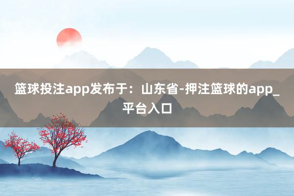 篮球投注app发布于：山东省-押注篮球的app_平台入口