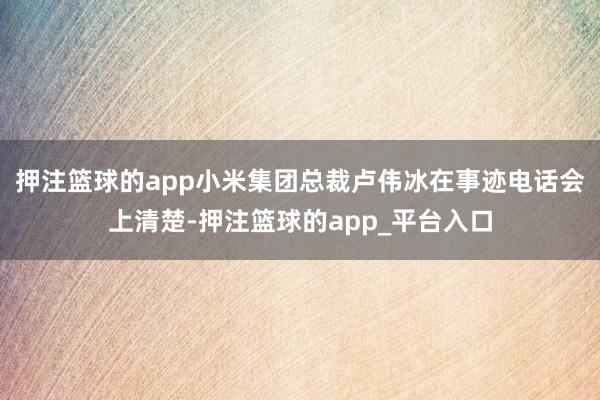 押注篮球的app小米集团总裁卢伟冰在事迹电话会上清楚-押注篮球的app_平台入口