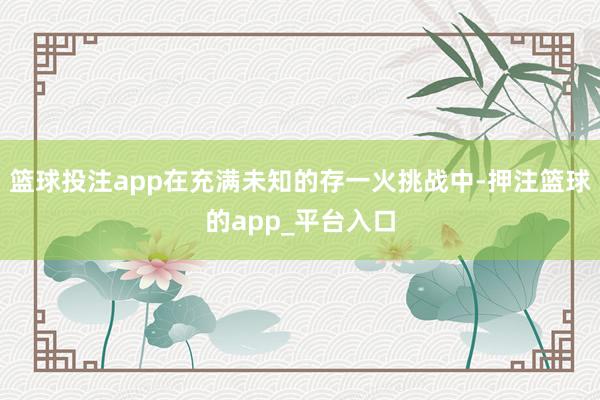 篮球投注app在充满未知的存一火挑战中-押注篮球的app_平台入口