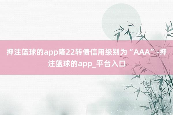 押注篮球的app隆22转债信用级别为“AAA”-押注篮球的app_平台入口