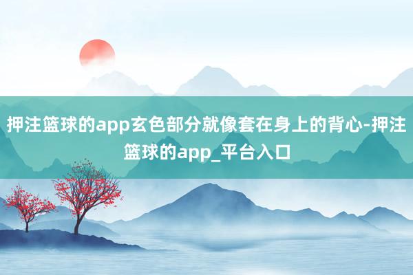 押注篮球的app玄色部分就像套在身上的背心-押注篮球的app_平台入口