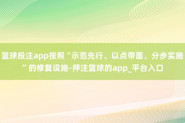 篮球投注app按照“示范先行、以点带面、分步实施”的修复设施-押注篮球的app_平台入口