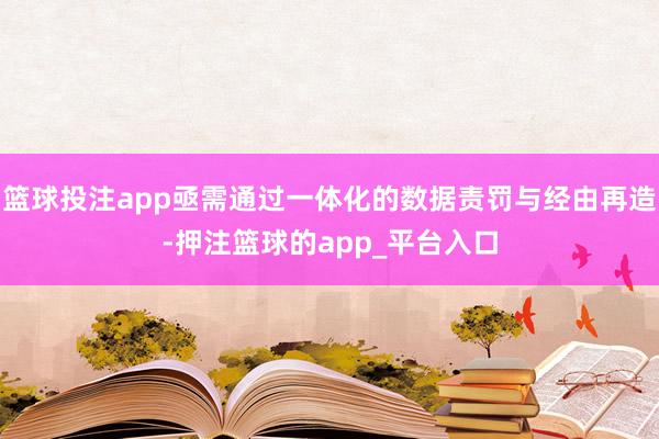 篮球投注app亟需通过一体化的数据责罚与经由再造-押注篮球的app_平台入口