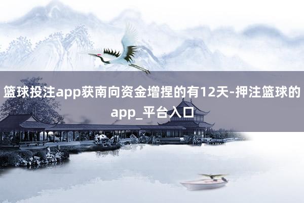 篮球投注app获南向资金增捏的有12天-押注篮球的app_平台入口