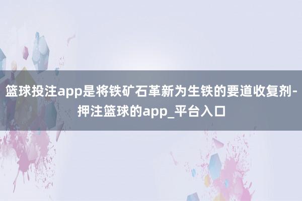篮球投注app是将铁矿石革新为生铁的要道收复剂-押注篮球的app_平台入口