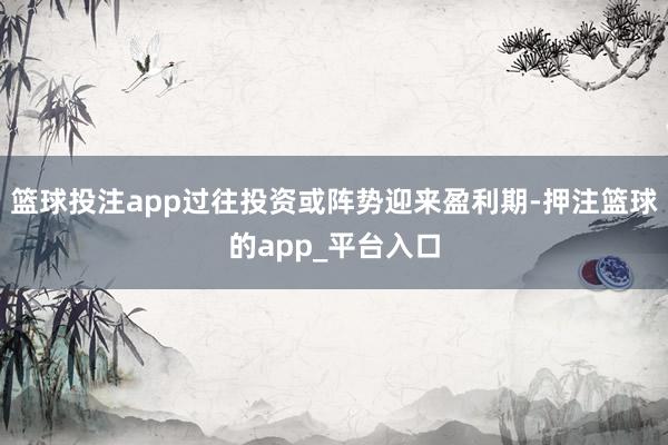 篮球投注app过往投资或阵势迎来盈利期-押注篮球的app_平台入口