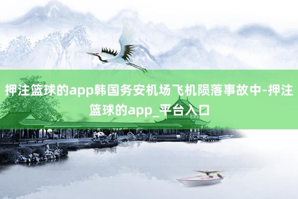 押注篮球的app韩国务安机场飞机陨落事故中-押注篮球的app_平台入口