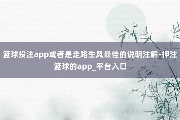 篮球投注app或者是走路生风最佳的说明注解-押注篮球的app_平台入口