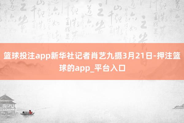 篮球投注app新华社记者肖艺九摄3月21日-押注篮球的app_平台入口