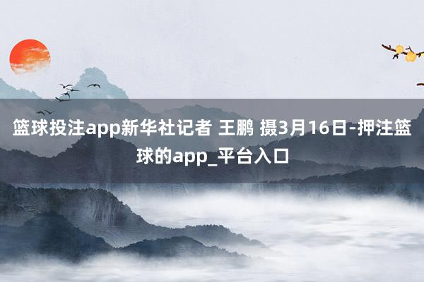 篮球投注app新华社记者 王鹏 摄3月16日-押注篮球的app_平台入口
